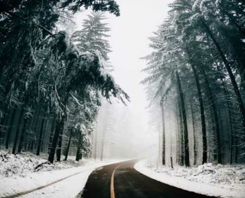 تصاویر فصل زمستان بخش اول ✔️ زیبایی های طبیعت را در این فصل به نمایش می گذارند.⭐︁ سفیدی این فصل سرشار از آرامش و سکوت می شود چرا که زمین به خواب رفته است.