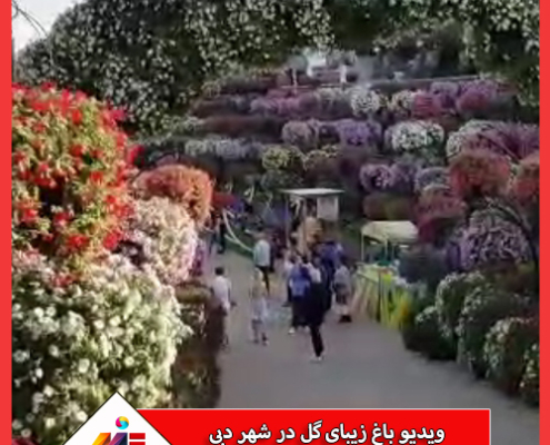 ویدیو باغ زیبای گل در دبی